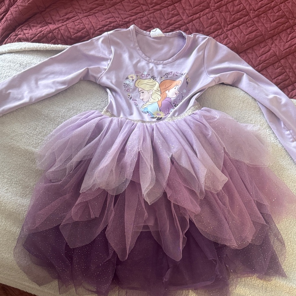 Disney Frozen Elsa and Ana Purple Princess 2T tutu dress up